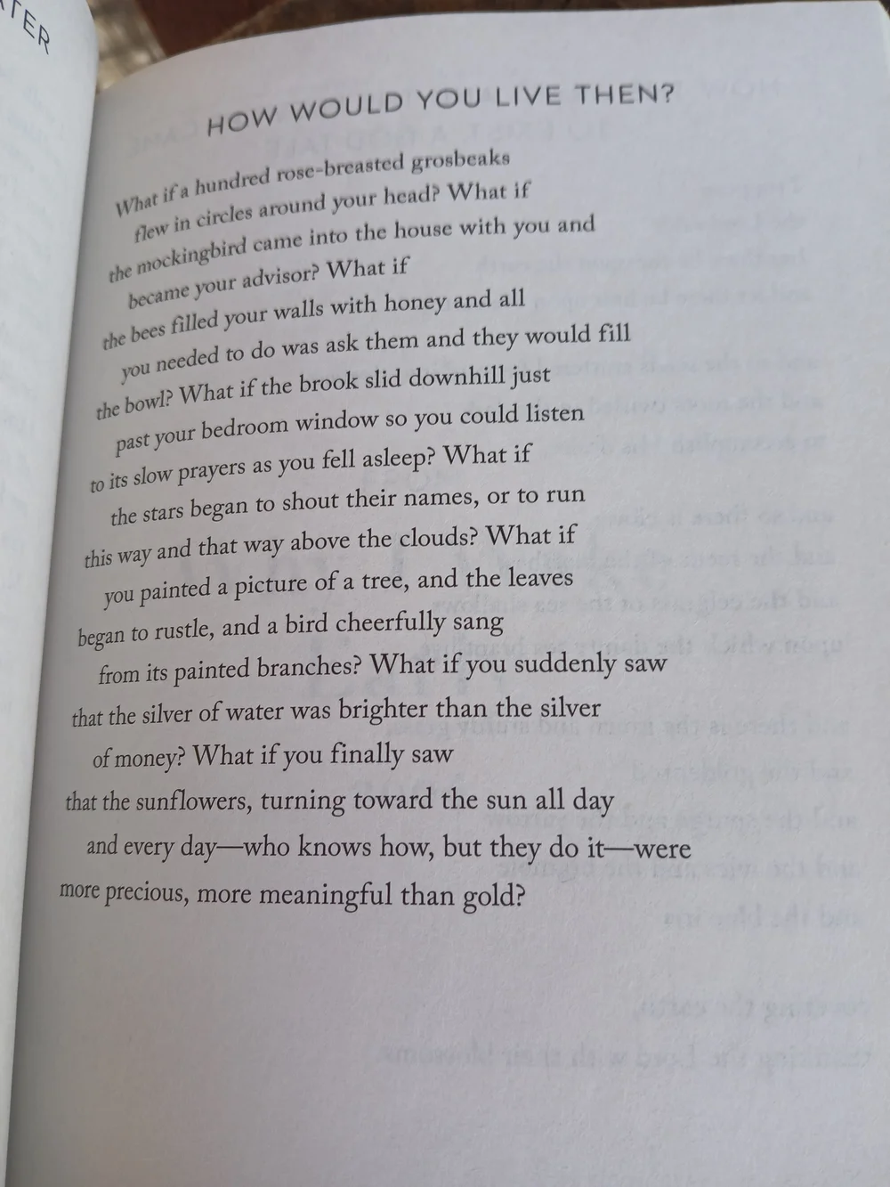 Mary Oliver Devotions Paperback Book - Picture 4 of 4